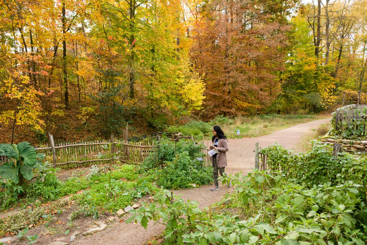 The enslaved people's garden at Smith Farm, in Atlanta, in autumn.