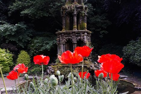 Norwich Plantation Garden