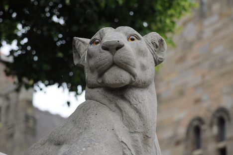 Animal Wall at Cardiff Castle