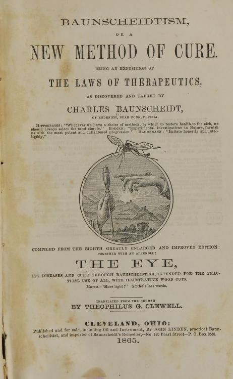 In the introduction of the book, <em>Baunscheidtism, or a new method of cure</em>, there is a picture of a mosquito hovering over a hand—the source of Baunscheidt's inspiration for the Resuscitator.