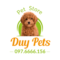 Profile image for duypets