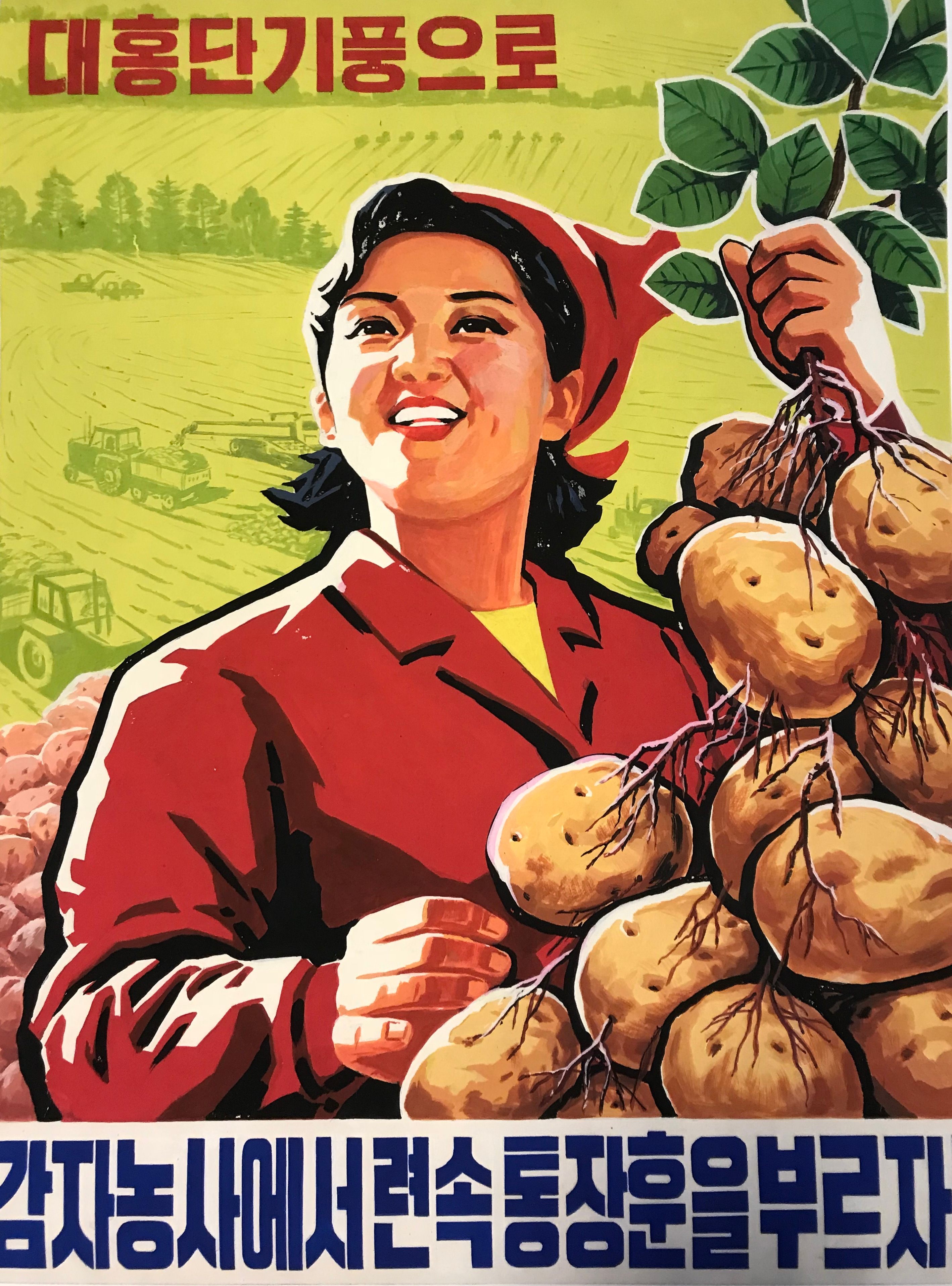 "With the Spirit of Taehongdan County, Let’s Call Out the Last Victory in Potato Farming!"