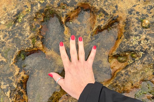 Prehistoric Crocodile Footprint in Kildonan