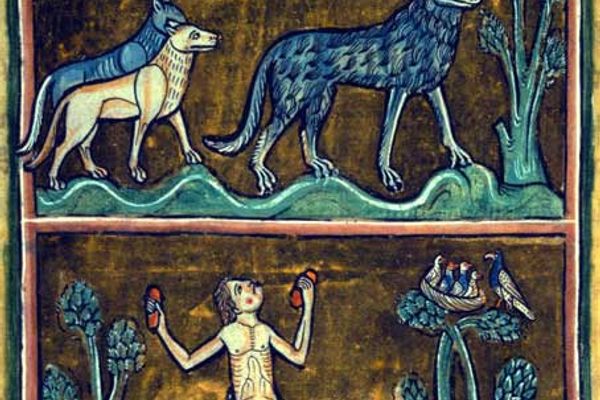 Medieval bestiary manuscript showing a werewolf.