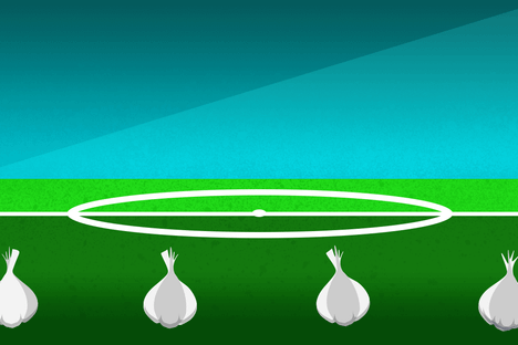 Can garlic help you win a soccer match?