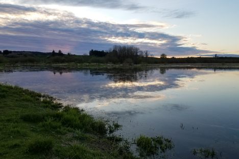The Slough in late afternoon.