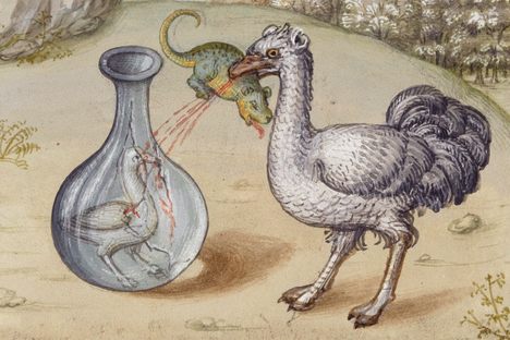An Ostrich Saving Its Young with the Blood of an Asp, from Miroir de l’Humaine Salvation, France, 15th century. 