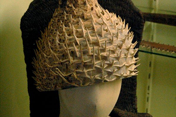 An extremely nice hat, made from a single pufferfish