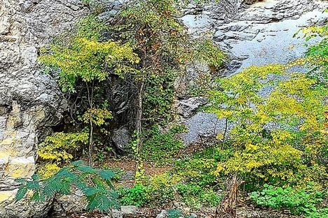 Virginia's Natural Tunnel