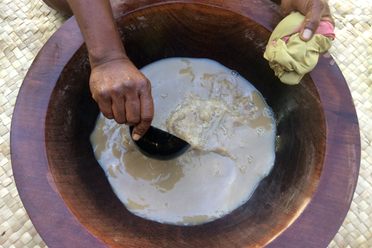 Kava is regarded as the national beverage of Fiji, where it is often served to welcome visitors.