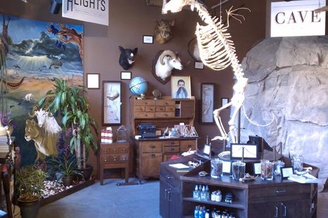 Museum of Unnatural History