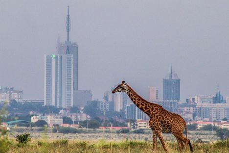Nairobi National Park