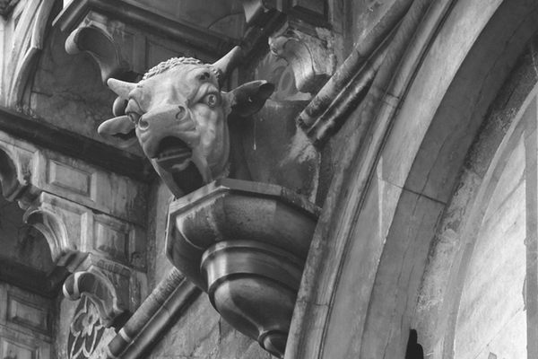 The Bull of Santa Maria del Fiore