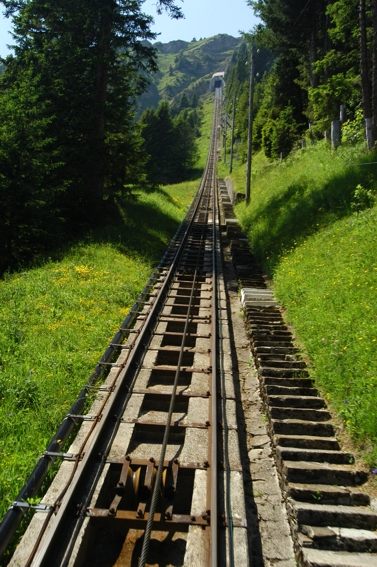 Rails guiding the Niesenbahn up the mountain