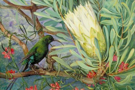 The Radical Victorian Lady behind an Essential Collection of Botanical Art 