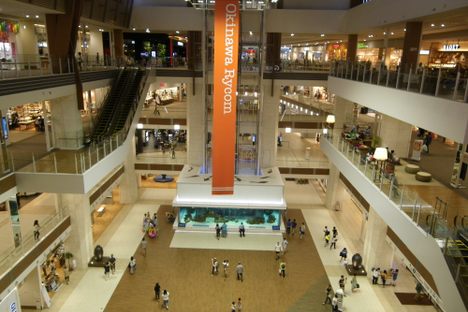 An overhead view of the aquarium.