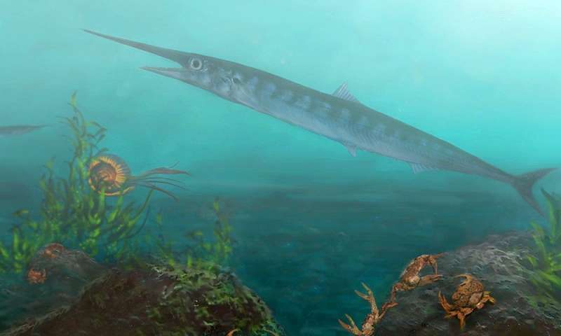 An artist's rendition of the newly identified <em>Candelarhynchus padillai</em>.