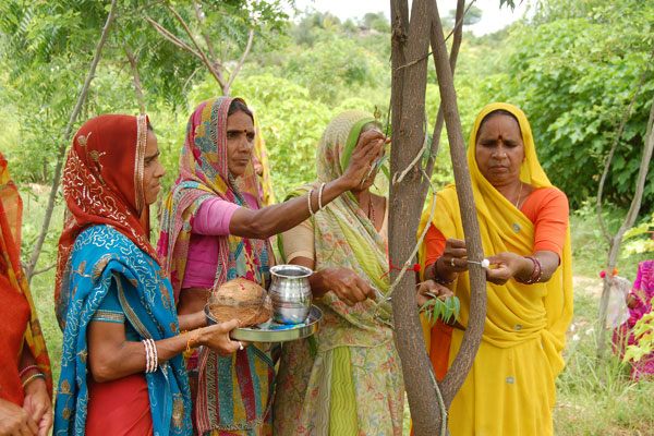 Rajasthani women partaking in Piplantri's tree planting program. (All photos courtesy of Piplantri.com)