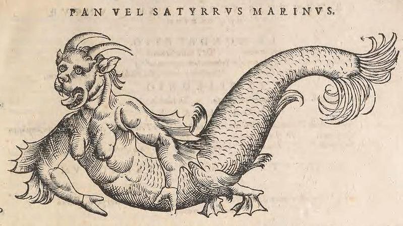 来自Icones animalium(1553)的“海魔”。