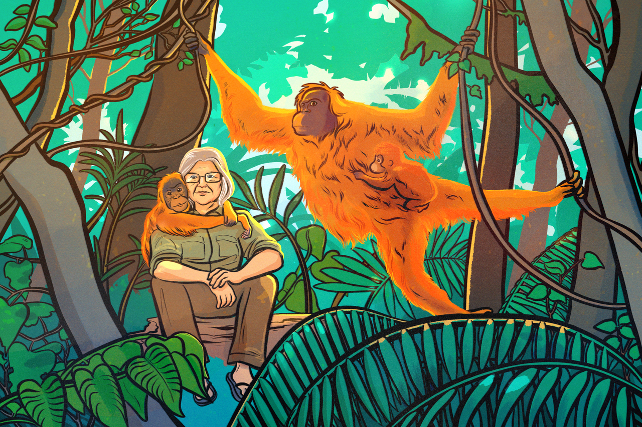 Biruté Mary Galdikas has spent more than half a century studying Borneo's orangutans.