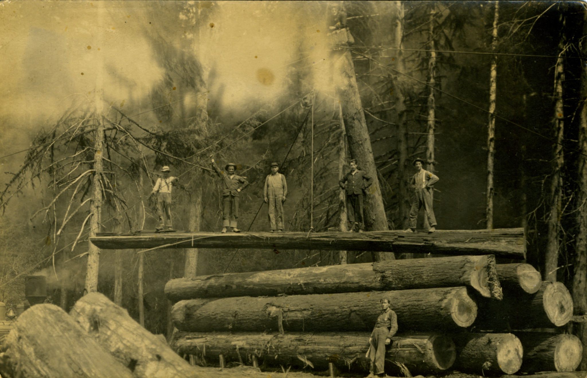 1800 s logging photos