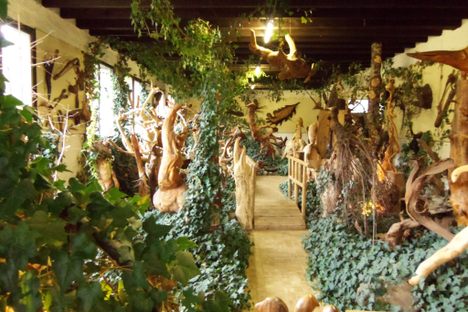 Museum of a Million and One Roots