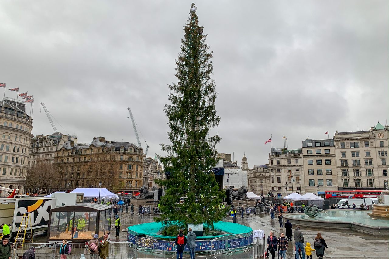 The tree in London's Trafalgar Square is already the butt of jokes.