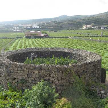 The giardino Pantesco at Donnafugata vineyards.