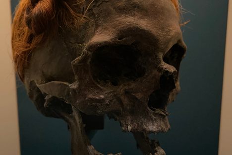 The Bog Bodies at the Schleswig-Holstein Landesmuseum