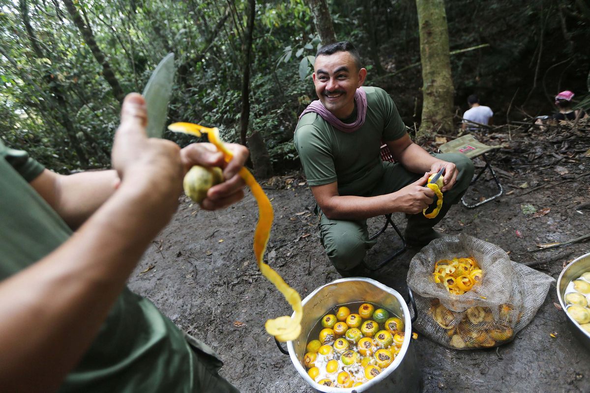 FARC rebels peel fruit in camp in 2016.