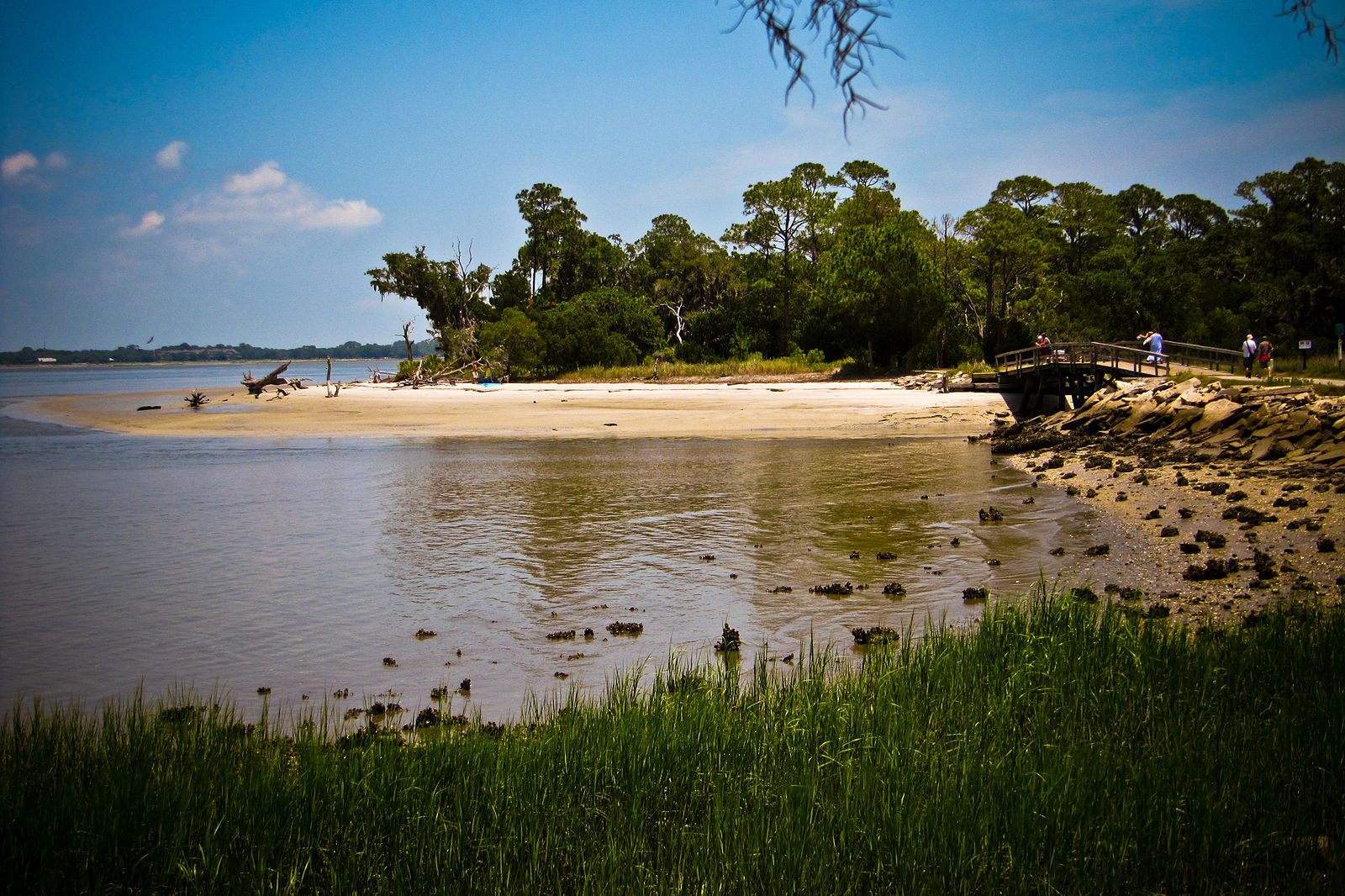 Jekyll Island, paradise to both humans and alligators.