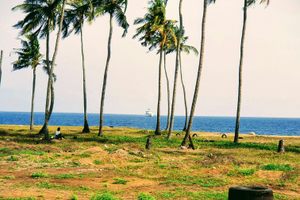 Photo of Côte d'Ivoire