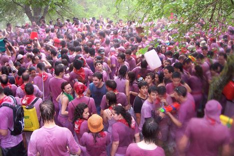 Batalla del Vino