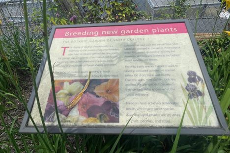 Sign beside the Stout Silver Medal daylily garden