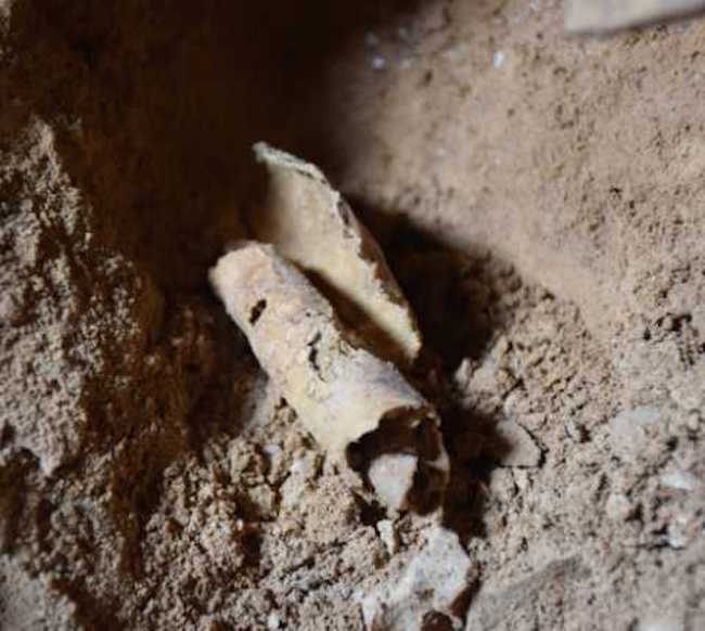 One blank scrolls was discovered.