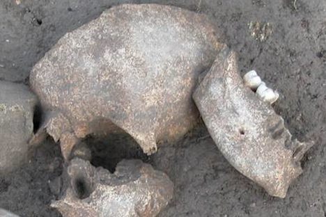 A skull fragment from the site.