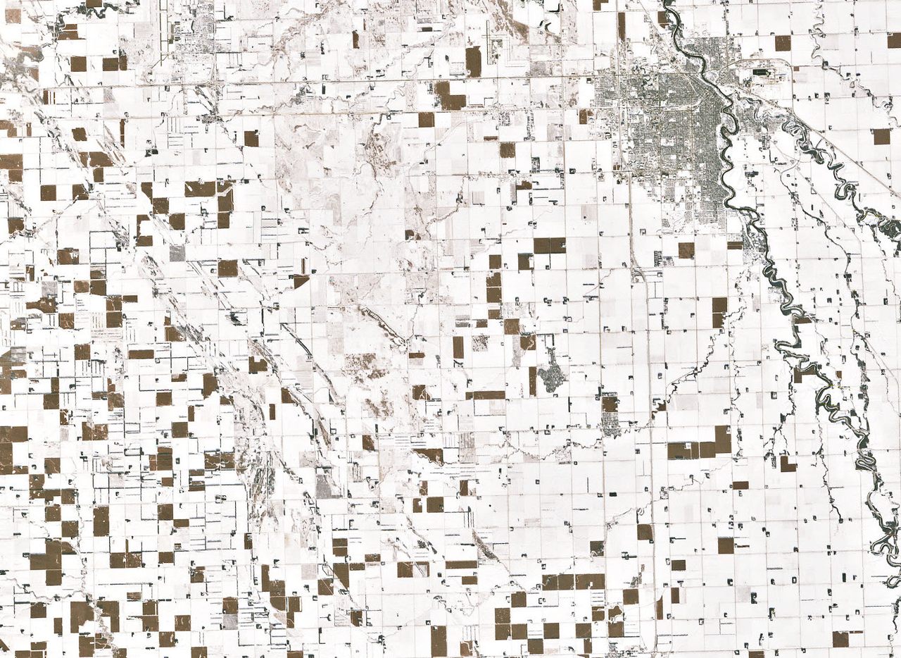 The patchwork shows expanses of snow, interspersed with fields of corn that are toughing out the winter weather.