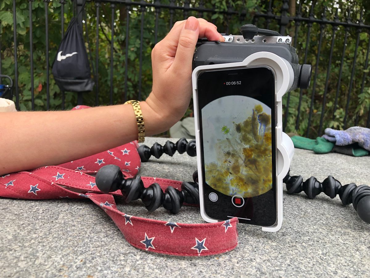 Warring examines microbes under her portable microscope.
