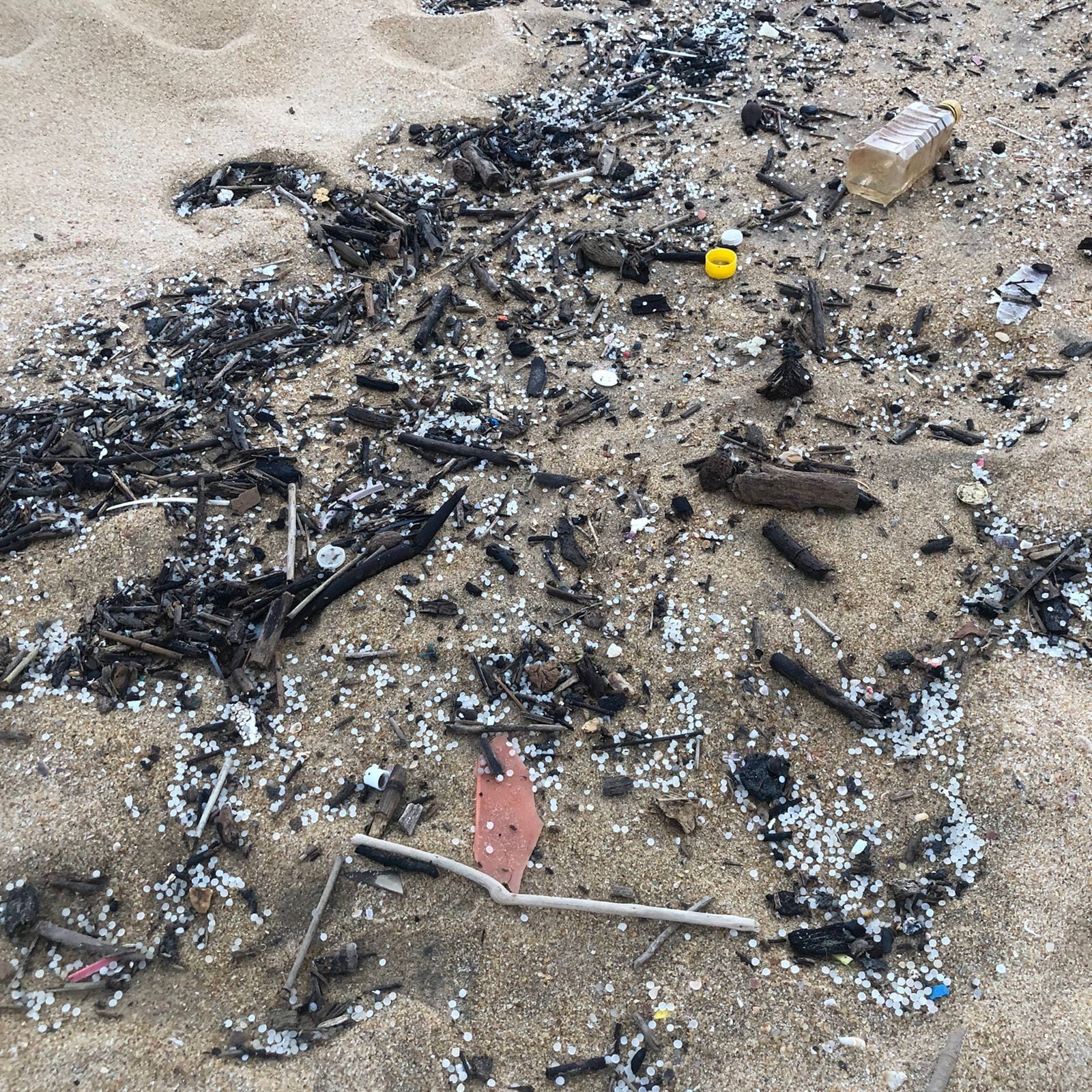 The tide continues to bring nurdles and other debris in, and some pieces of plastic can be buried under feet of sand. 