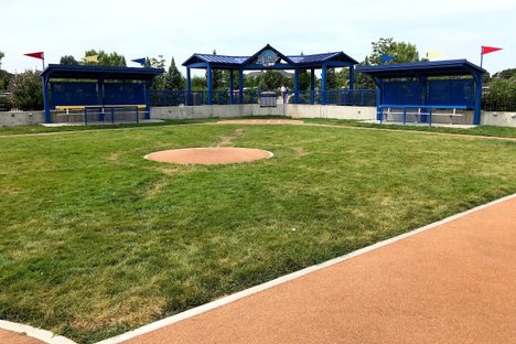 Infield at the Zoo