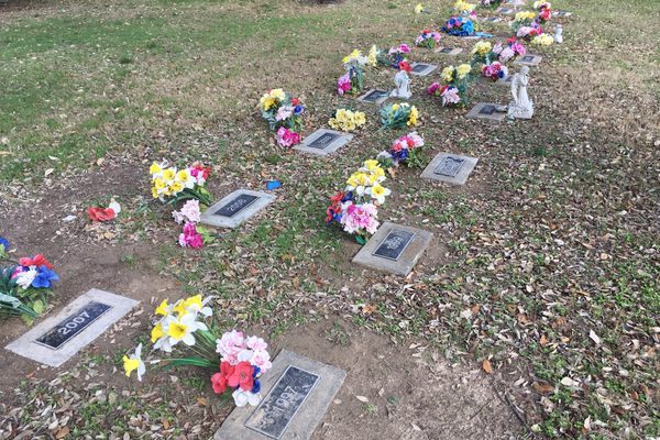 Flowers adorn the cemetery.
