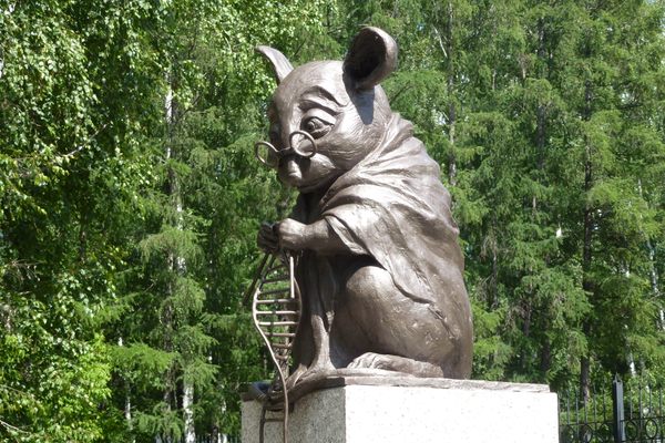 Monument to the Laboratory Mouse.