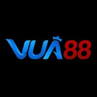 Profile image for vua88now