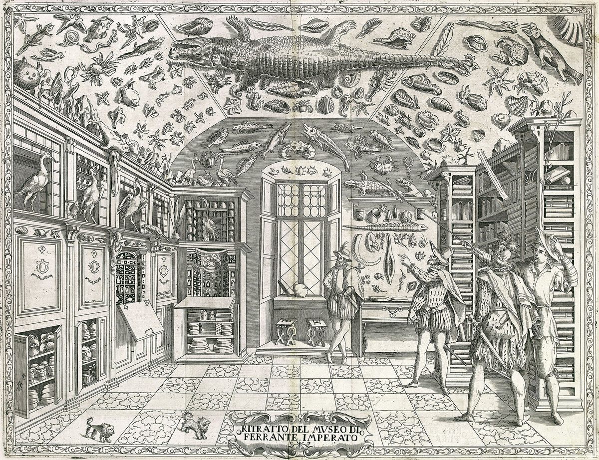 In 1599, an engraving by an unknown artist of Ferrante Imperato's collection of curiosities in Naples was the first depiction of a <em>Wunderkammer</em>, or room of wonder.