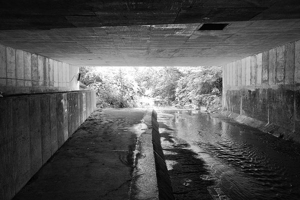 You Can Follow a Hidden Stream Beneath Indianapolis—If You Know Where ...