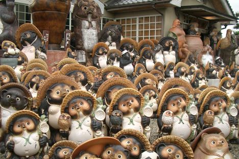 Tanuki the Tipsy Trickster: Why a Well-Endowed Raccoon Dog Is Big in Japan