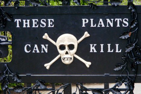 Where the Deadly Things Grow