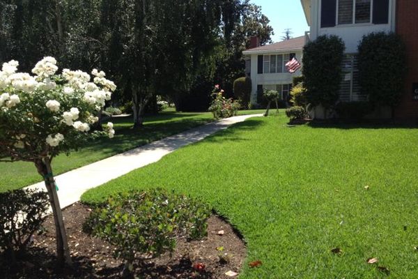 Where the Parsonage once was, quiet condos with No Trespassing signs now sit