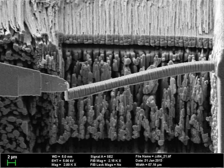 Researchers synthesized a fracture-resistant concrete, viewed here in a scanning electron microscope, enlarged 2,000 times.