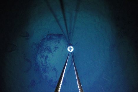 The camera descended beneath the ice, and found something researchers didn't expect: life.